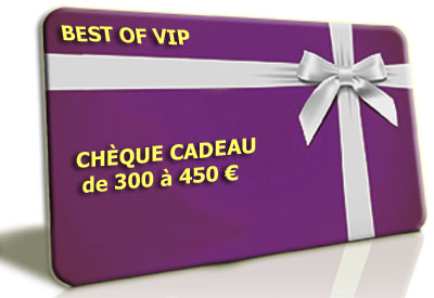 Chèque Cadeau 300 à 450 €- <b><font color=red>valeur du chèque cadeau de 300 € à 450 € par tranche de 50 €</font></b> - (00) - réf:CHKDO300
